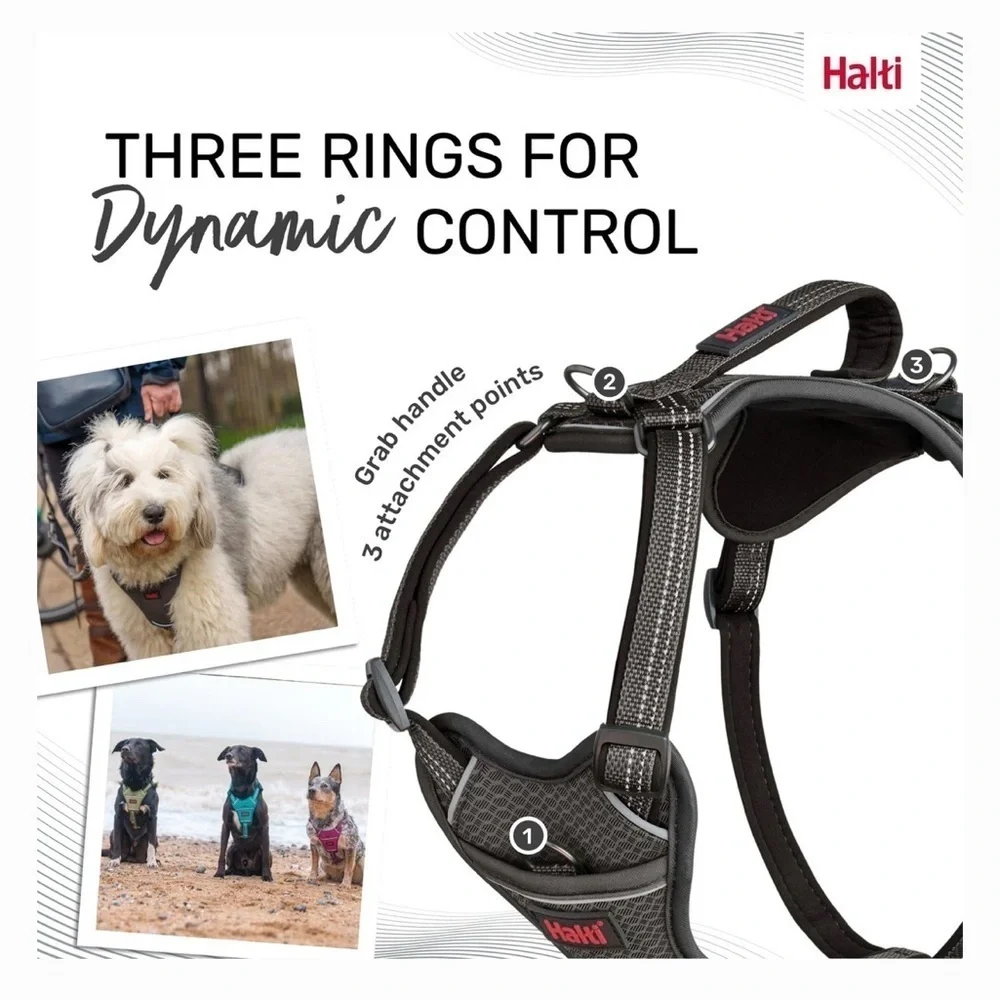 Halti Anatomy Reflective Dog Harness grey, Large: 23.5 to 33.5-in chest